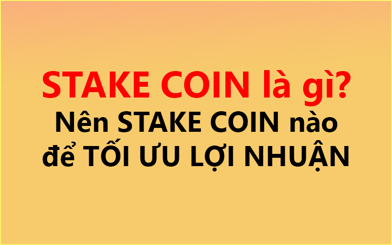 STAKE COIN là gì? ✅ Nên STAKE COIN nào để TỐI ƯU LỢI NHUẬN