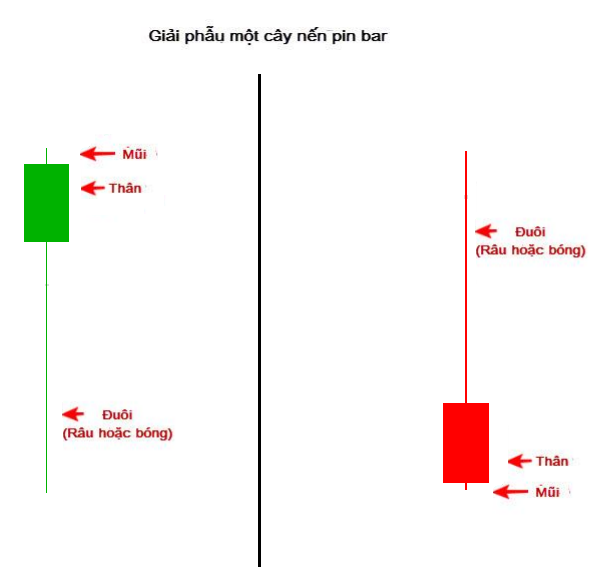 Cac loai nen Pinbar Mo hinh nen pin bar