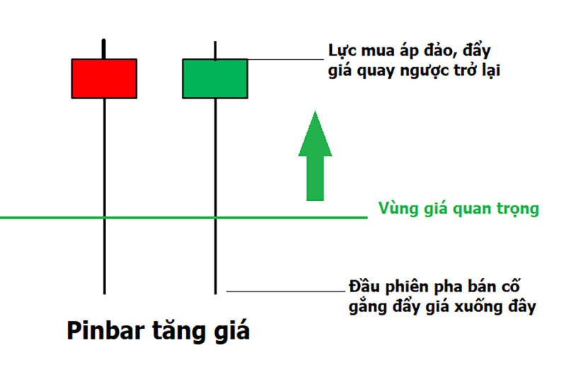 Cac loai nen Pinbar Nen pin bar tang gia (nen Bullish Pin Bar)