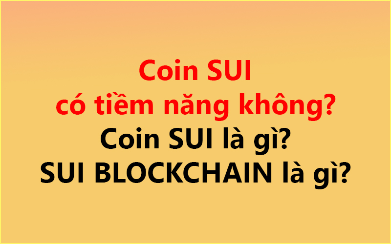 Coin SUI có tiềm năng không? ✅ Coin SUI là gì? SUI BLOCKCHAIN là gì?