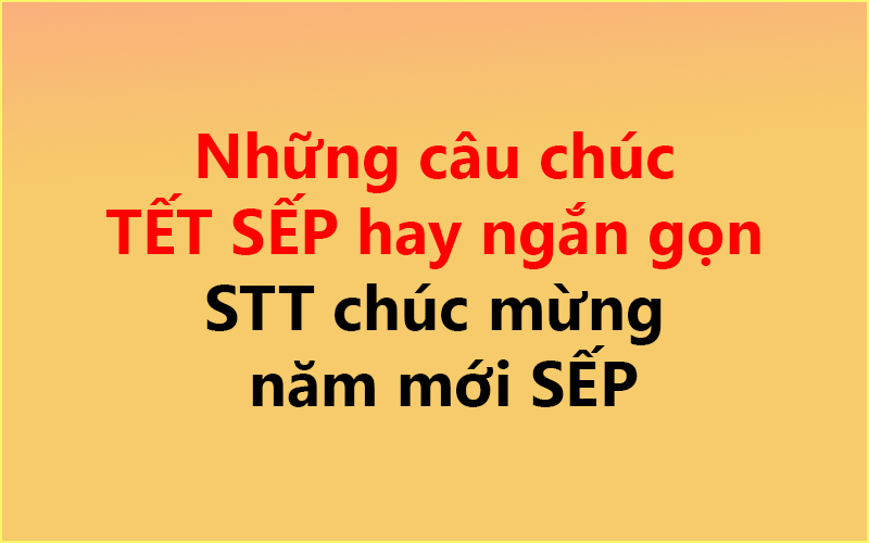Những câu chúc TẾT SẾP hay ngắn gọn ✅ – STT chúc mừng năm mới SẾP